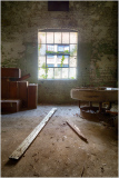 An abandoned space with a dusty floor, wooden beams, and a window surrounded by creeping vines.