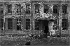 A surreal tableau of decaying bricks entwined with ghostly vines and whispers of history.