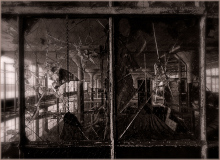 A shattered window reveals the intricate decay of an abandoned structure.