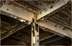 Structural supports of the Scranton Lace Building, revealing its industrial past.