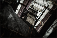 Intricate lace filaments intertwining within a decaying structure, whispers of forgotten beauty.