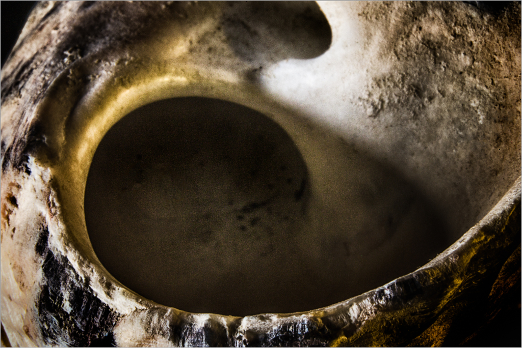 A hollow, textured vessel with shadowy depths and smooth curves.