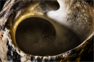 A hollow, textured vessel with shadowy depths and smooth curves.
