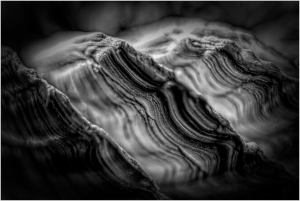 Waves of shadow dance in grayscale, revealing the essence of unseen landscapes.