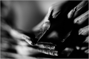Layered abstract forms intertwine in shadowy contrast, suggesting hidden narratives.