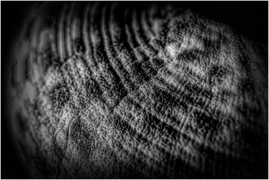 A close-up of a textured surface, swirling patterns in shades of black and white.