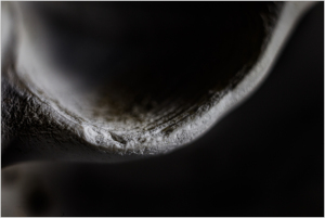 A smooth, curved surface glows against a shadowy background, evoking a sense of hidden depths.