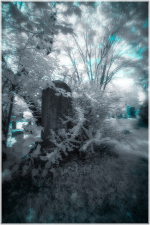 A hauntingly ethereal landscape shrouded in ghostly light, draped in shadows and whispered secrets.