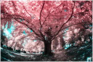 A sprawling, gnarled tree under an eldritch canopy of unnatural hues.