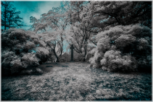 A surreal landscape draped in silvery hues, whispering secrets of timelessness.
