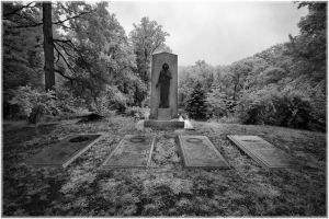 A haunting graveyard with weathered tombstones beneath a canopy of ancient trees.
