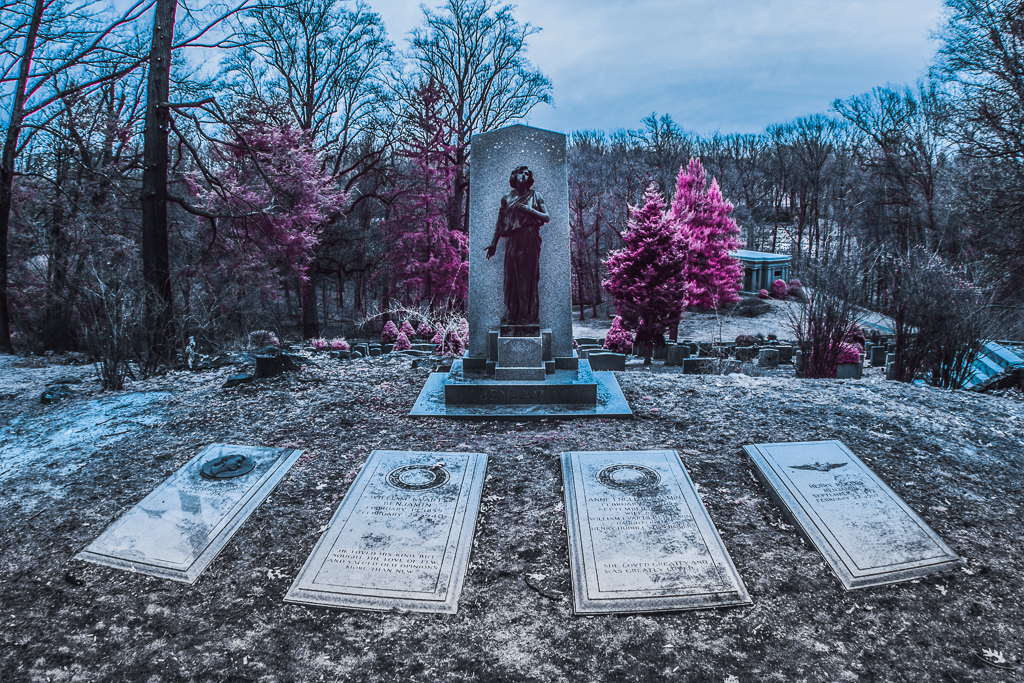 A haunting graveyard with a solitary tombstone and ghostly pink foliage.