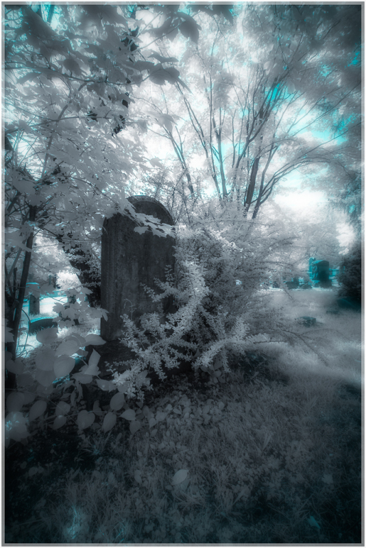 A hauntingly ethereal landscape shrouded in ghostly light, draped in shadows and whispered secrets.
