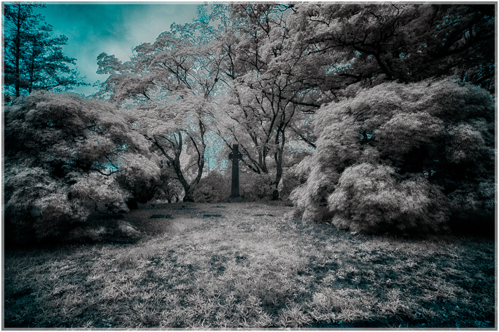 A surreal landscape draped in silvery hues, whispering secrets of timelessness.