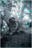 A hauntingly ethereal landscape shrouded in ghostly light, draped in shadows and whispered secrets.