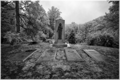 A haunting graveyard with weathered tombstones beneath a canopy of ancient trees.