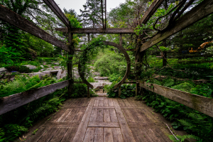 A circular wooden frame surrounded by lush greenery and wooden flooring, inviting exploration.