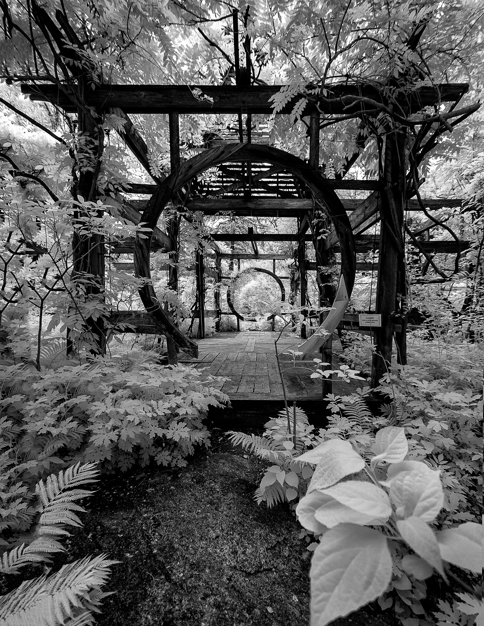 Passage of Circles