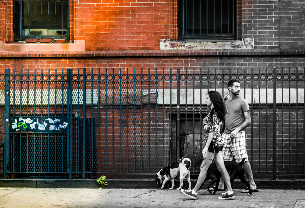 A couple strolls with a dog near a brick wall, colorful trash bin nearby.