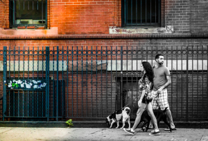 A couple strolls with a dog near a brick wall, colorful trash bin nearby.