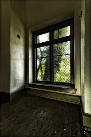 A dusty corner with an old window revealing overgrown greenery outside.
