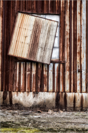 Rusty corrugated metal wall with a crooked window, nature reclaiming its space.