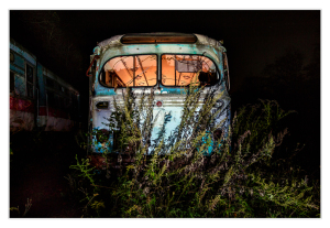 Abandoned trolley bus overgrown with wild plants in a dark, eerie setting.