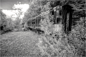 Abandoned trolley car overgrown with wild vegetation in a desolate setting.