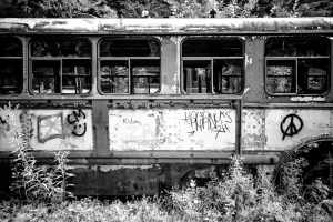 A weathered trolley car covered in graffiti, surrounded by overgrown vegetation.