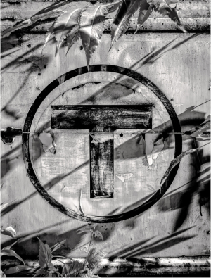 A weathered symbol of transit entwined with shadows and foliage, a dance of nature and industry.