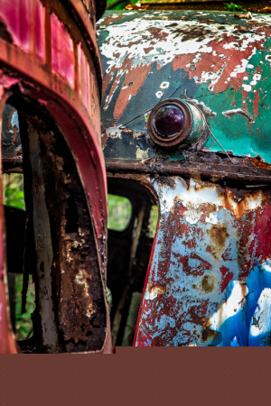 Rusty, abandoned trolley cars entwined in a dance of decay and color.