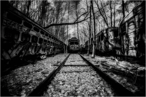A desolate graveyard of forsaken trolleys amidst skeletal trees and fallen leaves.