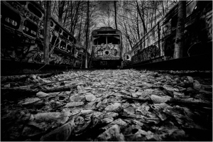 A forsaken trolley amidst decaying remnants in a shadowy, eldritch grove.