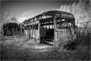 Abandoned, rusting trolleys in a desolate graveyard of forgotten transport.