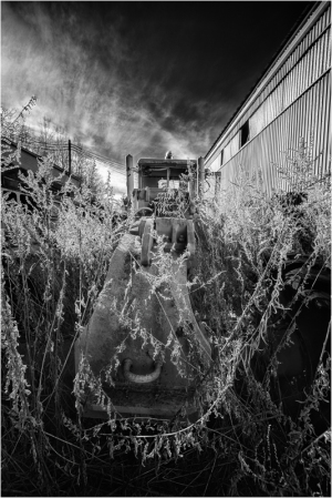A forsaken machine entangled in eldritch overgrowth, shrouded in shadows of forgotten industry.