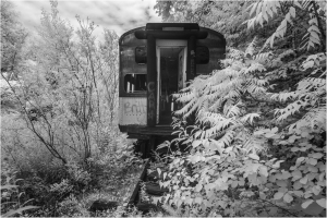 A forgotten trolley car half-hidden by overgrown foliage, hinting at past adventures.