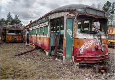 Abandoned trolleys rusting in a graveyard, nature reclaiming the metal beasts.
