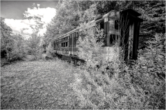Abandoned trolley car overgrown with wild vegetation in a desolate setting.
