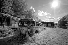 A forgotten bus rests among wild grass under a surreal sun, shadows stretching like dreams.