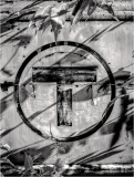 A weathered symbol of transit entwined with shadows and foliage, a dance of nature and industry.