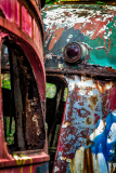 Rusty, abandoned trolley cars entwined in a dance of decay and color.