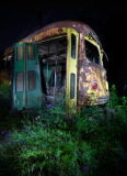 An ancient, rusted trolley stands amidst overgrown foliage, a relic of forgotten journeys.