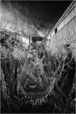 A forsaken machine entangled in eldritch overgrowth, shrouded in shadows of forgotten industry.