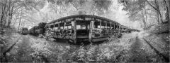 A desolate trolley graveyard, overgrown and silent, echoes of industry long forgotten.