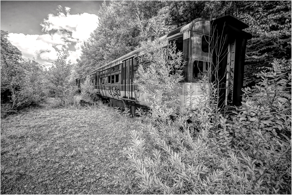 Abandoned trolley car overgrown with wild vegetation in a desolate setting.