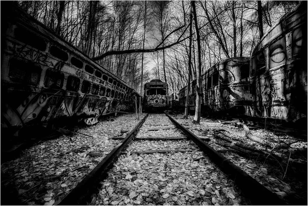 A desolate graveyard of forsaken trolleys amidst skeletal trees and fallen leaves.