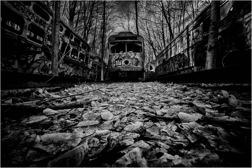 A forsaken trolley amidst decaying remnants in a shadowy, eldritch grove.