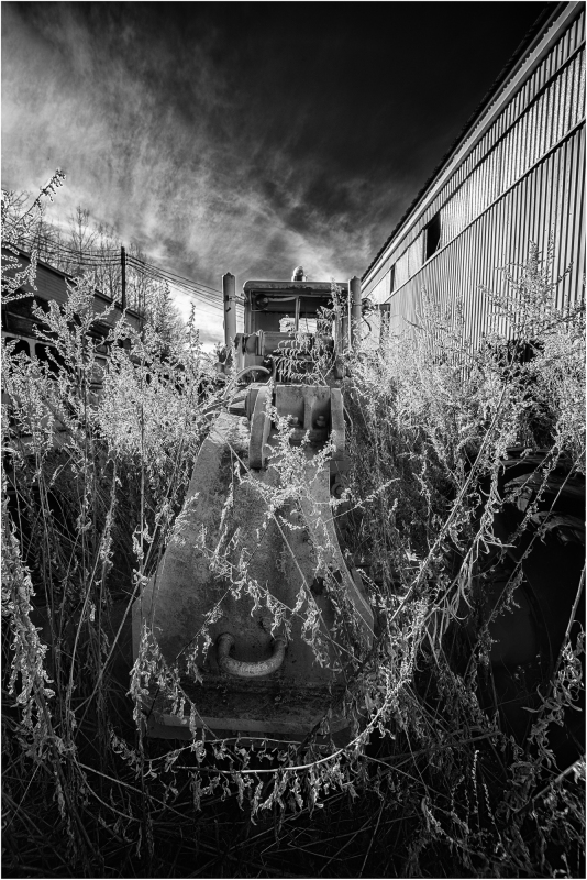 A forsaken machine entangled in eldritch overgrowth, shrouded in shadows of forgotten industry.