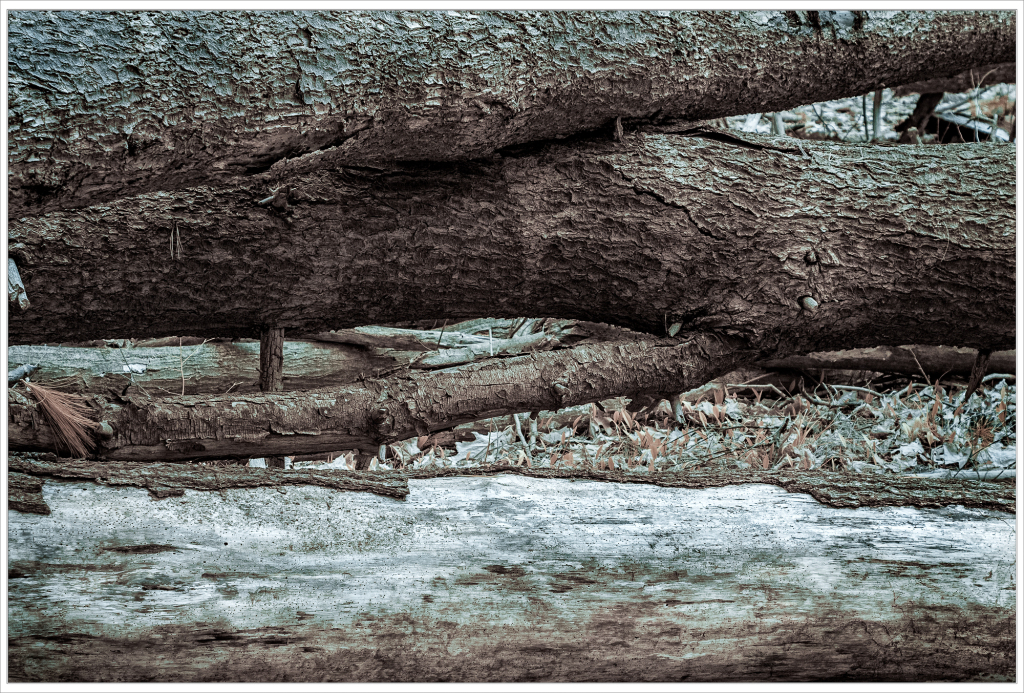 A serene arrangement of fallen logs on a soft, textured ground.