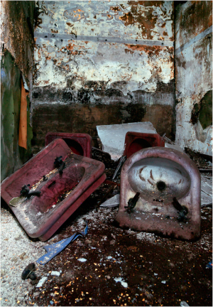 Abandoned, rusted urinals lie scattered on a decayed floor.